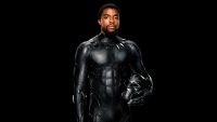 Black Panther Chadwick Boseman Wallpaper 11