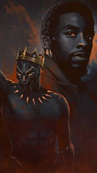 Black Panther Chadwick Boseman Wallpaper 25