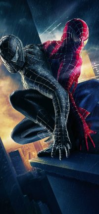 Spiderman Wallpaper 35
