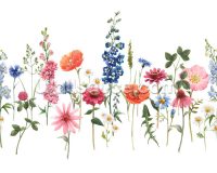 Flower Wallpaper 35