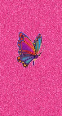 Butterfly Wallpaper 42