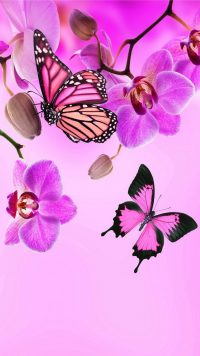 Butterfly Wallpaper 11