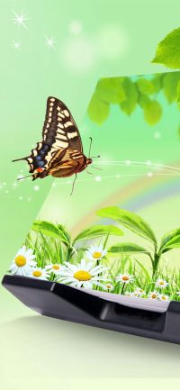 Butterfly Wallpaper 44