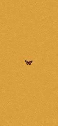 Butterfly Wallpaper 38