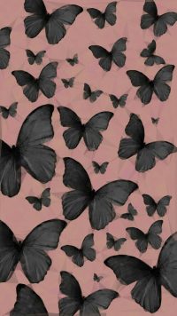 Butterfly Wallpaper 9