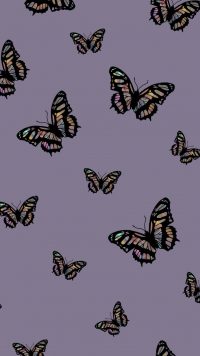 Butterfly Wallpaper 32