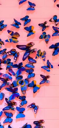 Butterfly Wallpaper 30