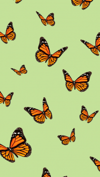 Butterfly Wallpaper 48
