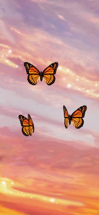 Butterfly Wallpaper 49