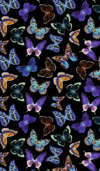 Butterfly Wallpaper 43
