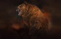 Chicago Bears Wallpaper 12