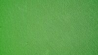 Green Wallpaper 44