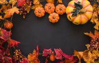 Pumpkin Desktop Wallpaper 20
