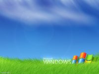 Windows xp Wallpaper 14