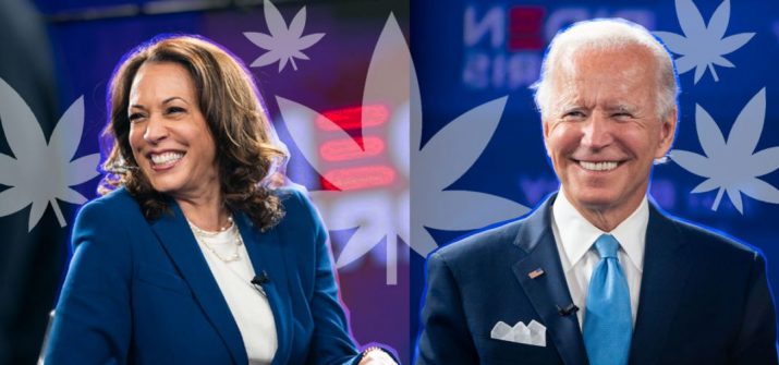 Biden Harris Wallpaper 1