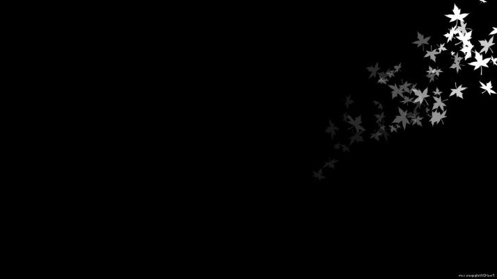 Black Flowers Wallpaper 1