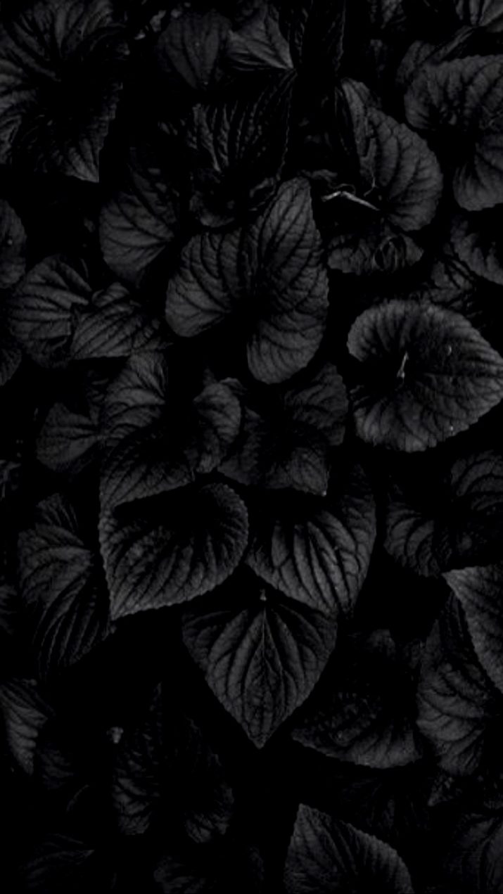 Black Flowers Wallpaper 1