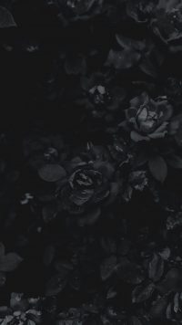 Black Flowers Wallpaper 24
