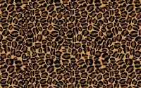 Cheetah Print Wallpaper 7