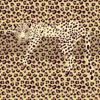 Cheetah Print Wallpaper 6