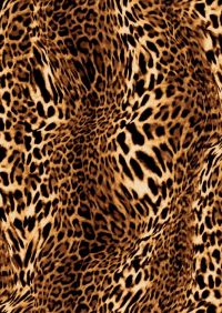 Cheetah Print Wallpaper 2