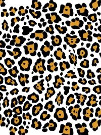 Cheetah Print Wallpaper 1