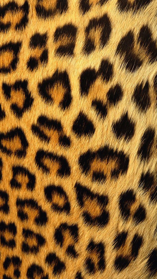 Cheetah Print Wallpaper 1 Cheetah Print Wallpaper 1