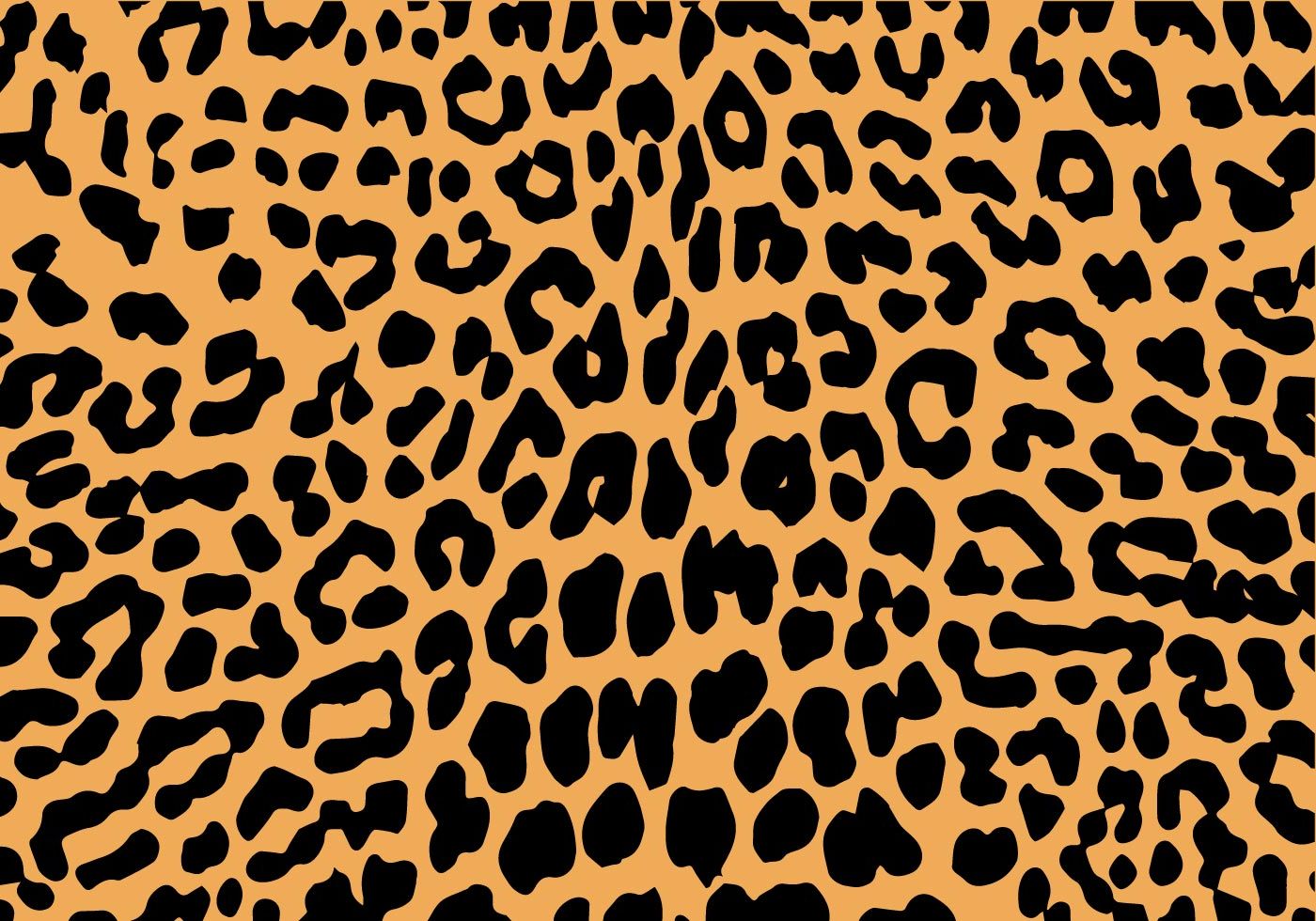 Cheetah Print Wallpaper vsco computer Wallpaper Sun