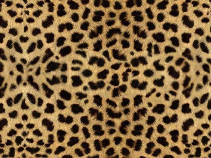 Cheetah Print Wallpaper 1