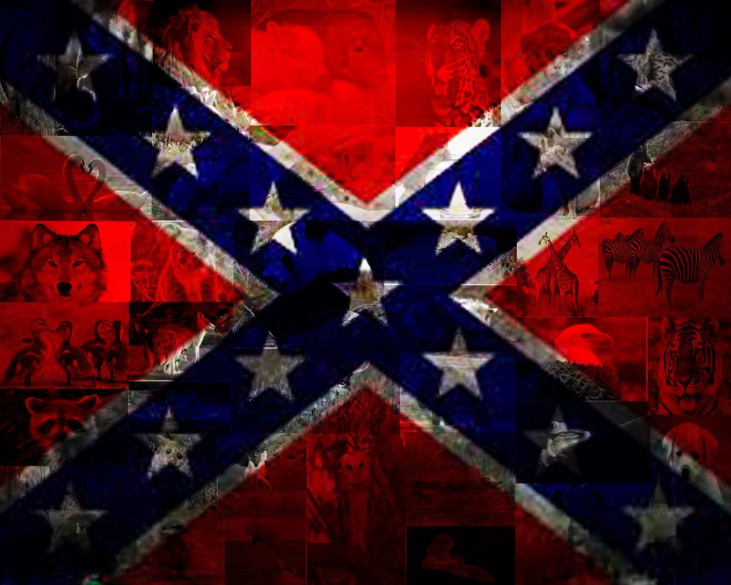 Confederate Flag Nail Designs - wide 1