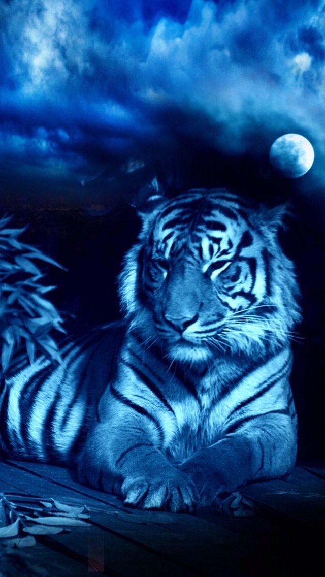 Cool Wallpaper 1 Cool Wallpaper 1