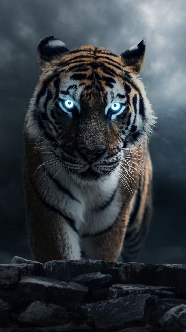 Cool Wallpaper 1 Cool Wallpaper 1