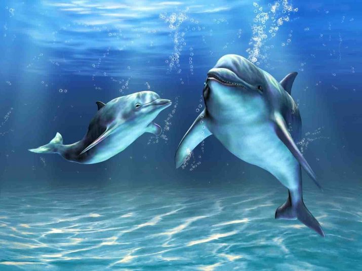 Dolphin wallpaper 1
