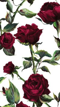 Roses Wallpaper 49