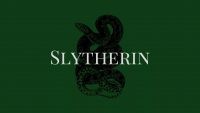 Slytherin Wallpaper 19