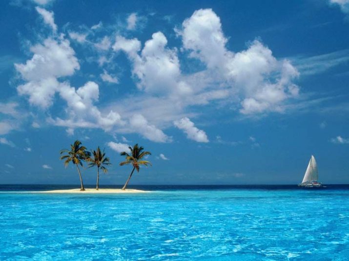 Windows xp Wallpaper 1