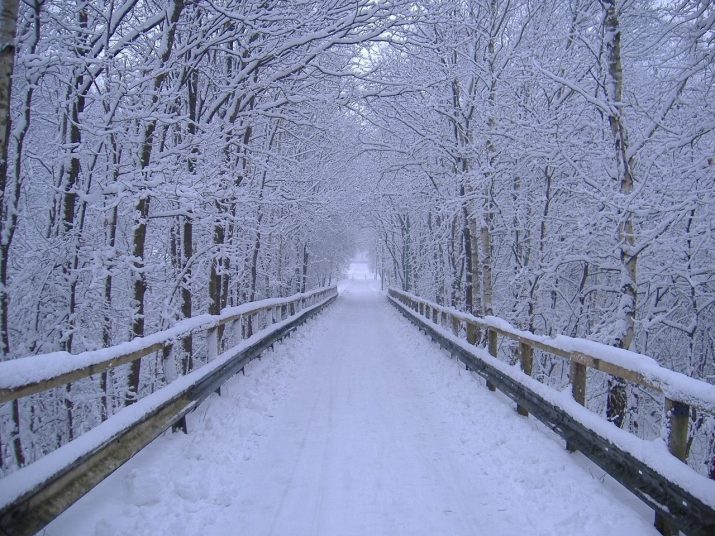 Winter Desktop Wallpaper 1