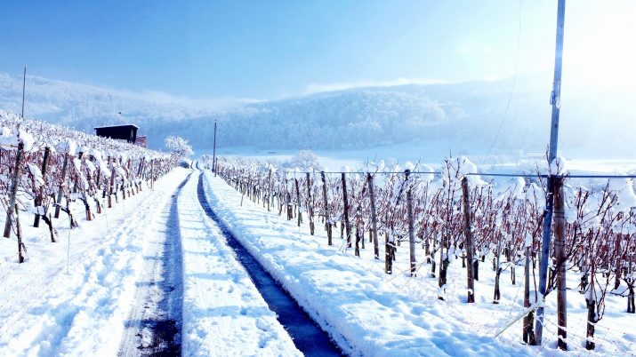 Winter Desktop Wallpaper 1 Winter Desktop Wallpaper 1