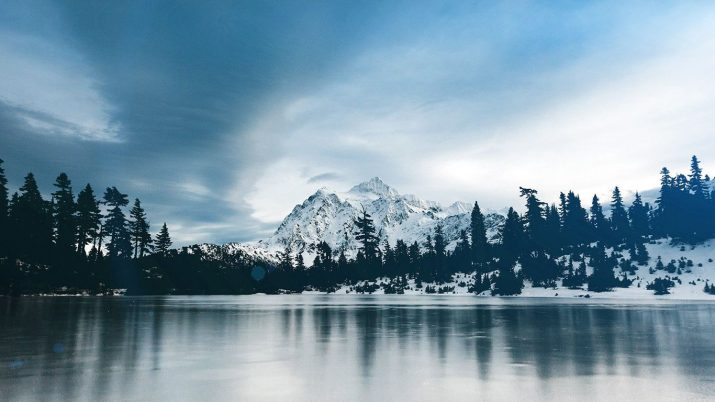 Winter Desktop Wallpaper 1