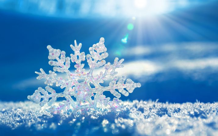 Winter Desktop Wallpaper 1