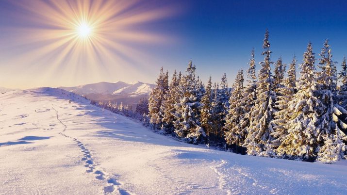 Winter Desktop Wallpaper 1