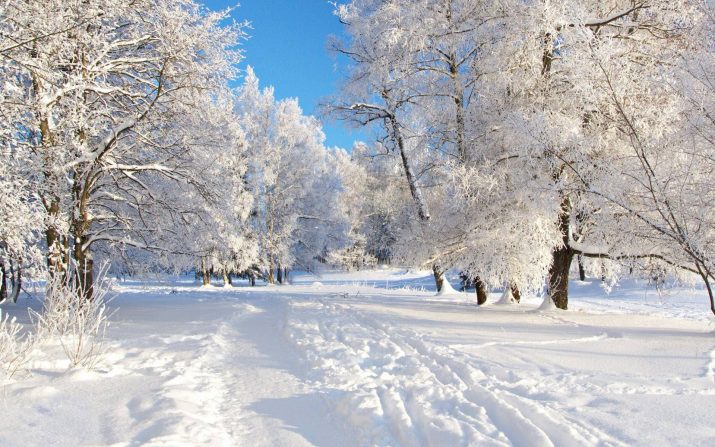 Winter Desktop Wallpaper 1