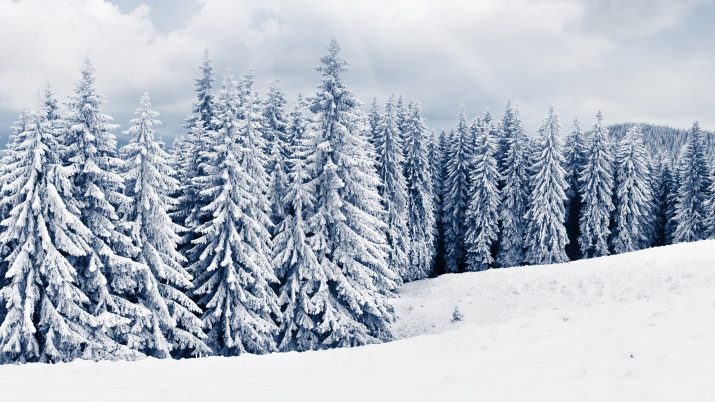 Winter Desktop Wallpaper 1