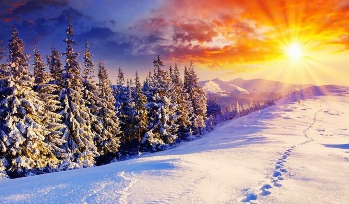 Winter Desktop Wallpaper 1