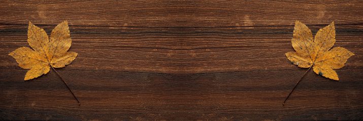 Wood Wallpaper 1