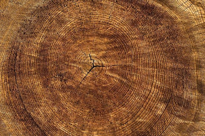 Wood Wallpaper 1 Wood Wallpaper 1