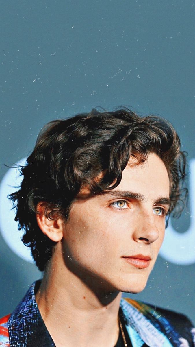 Timothee Chalamet Wallpaper - Wallpaper Sun