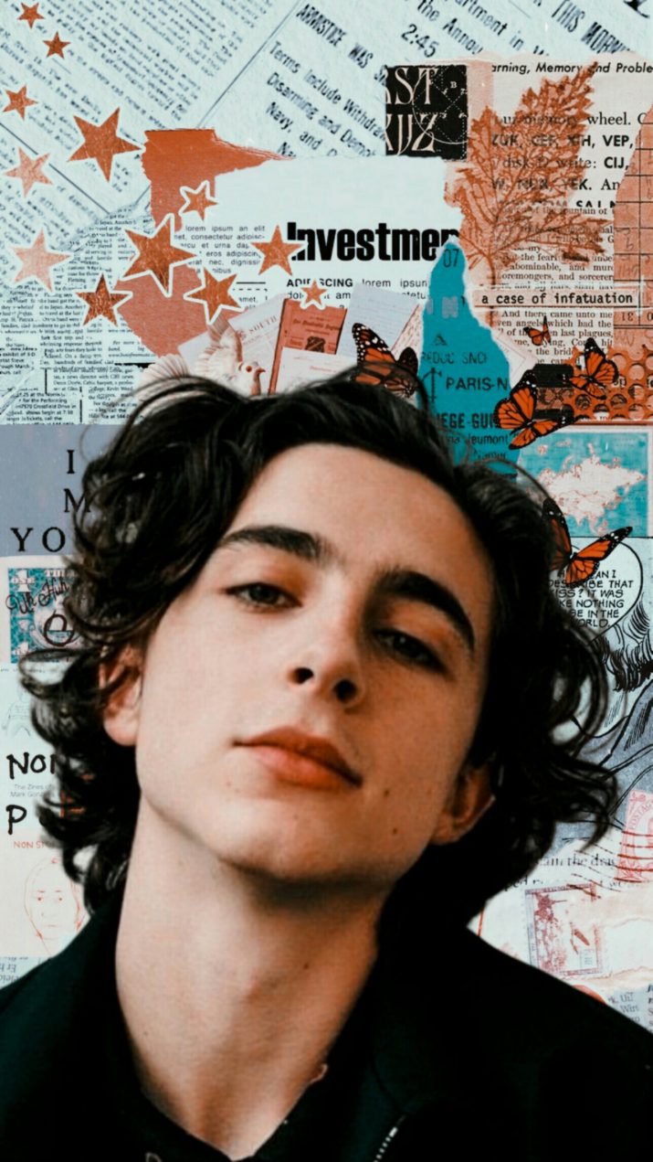 Timothee Chalamet Wallpaper 1