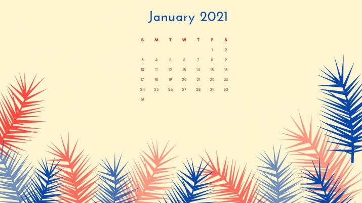 January 2021 Wallpaper 1