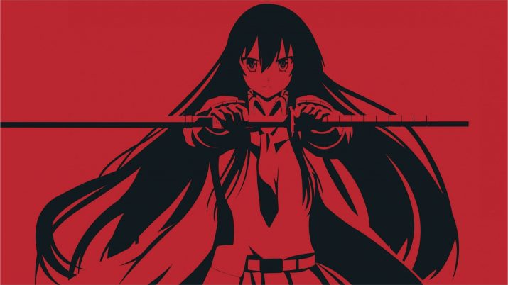 Akame Ga Kill Wallpaper 1